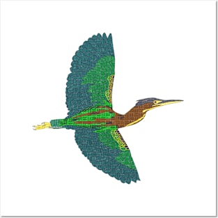 Green Heron Posters and Art